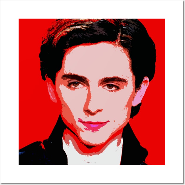 timothee chalamet Wall Art by oryan80